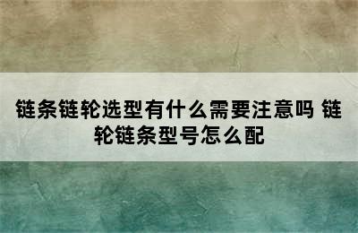 链条链轮选型有什么需要注意吗 链轮链条型号怎么配